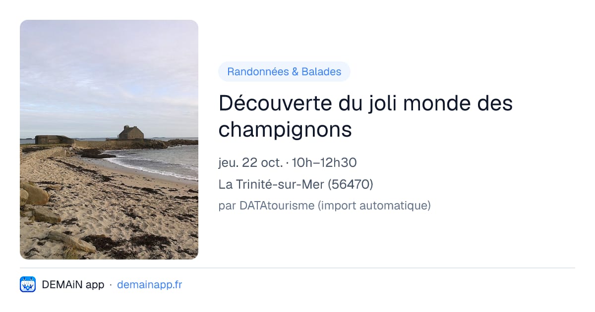 Découverte du joli monde des champignons — La Trinité-sur-Mer