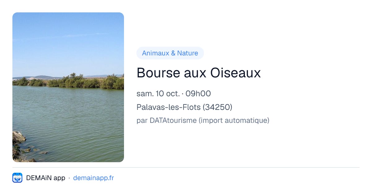 Bourse aux Oiseaux — Palavas-les-Flots