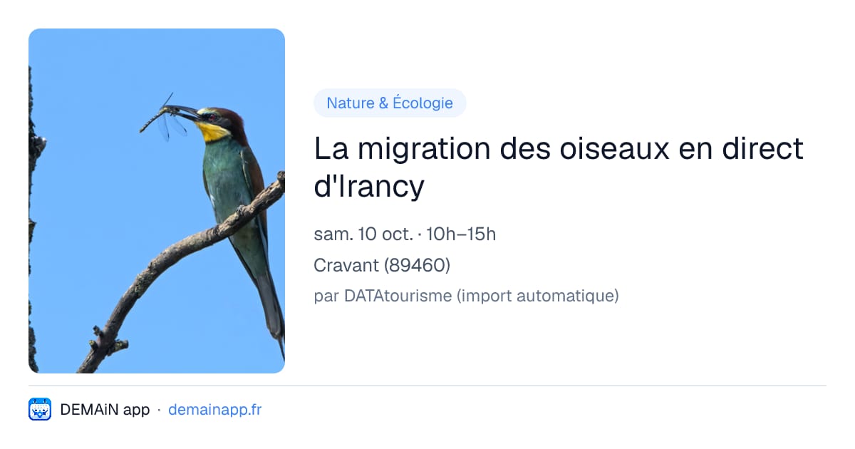 La migration des oiseaux en direct d'Irancy — Cravant
