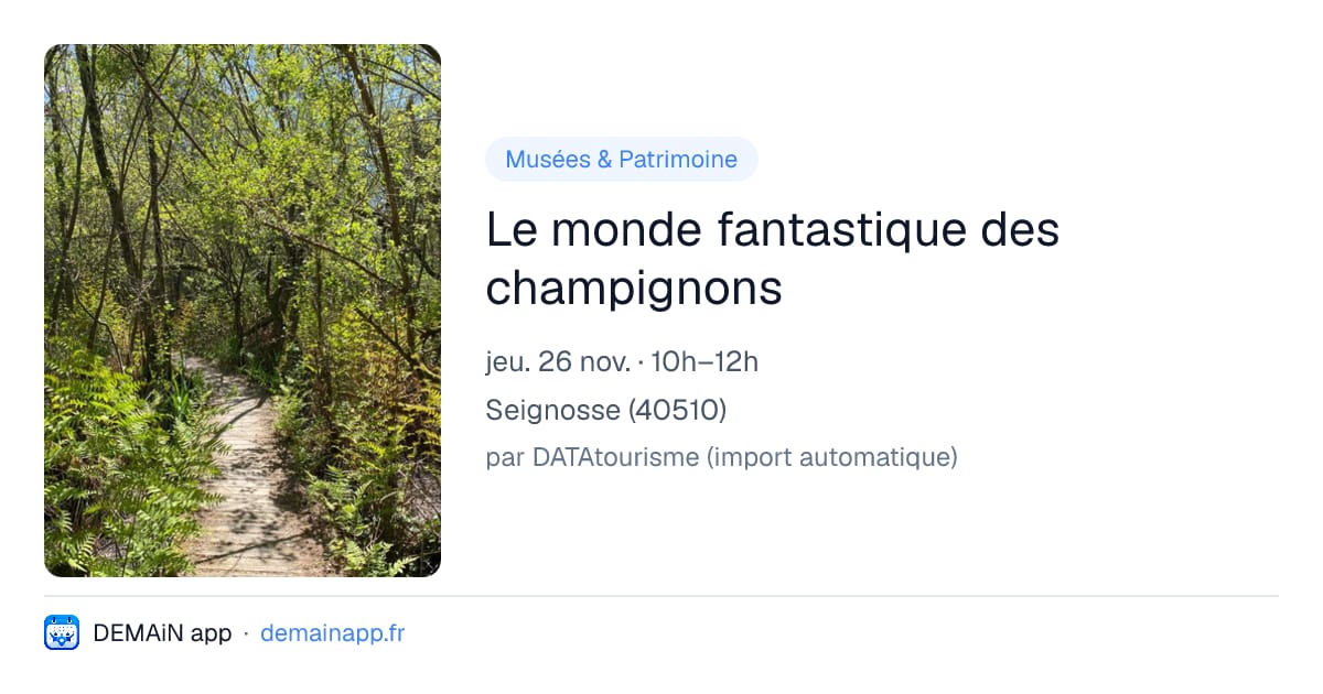 Le monde fantastique des champignons — Seignosse