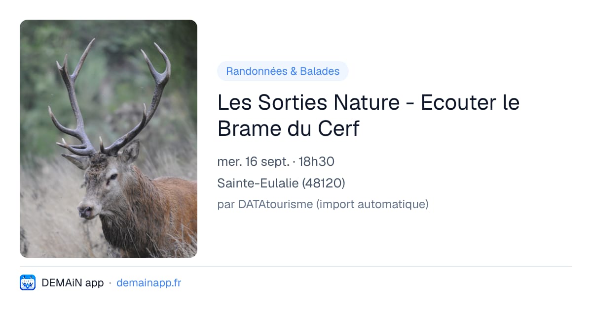 Les Sorties Nature - Ecouter le Brame du Cerf — Sainte-Eulalie
