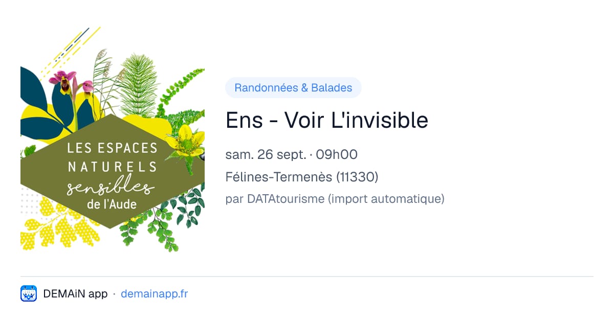 Ens - Voir L'invisible — Félines-Termenès