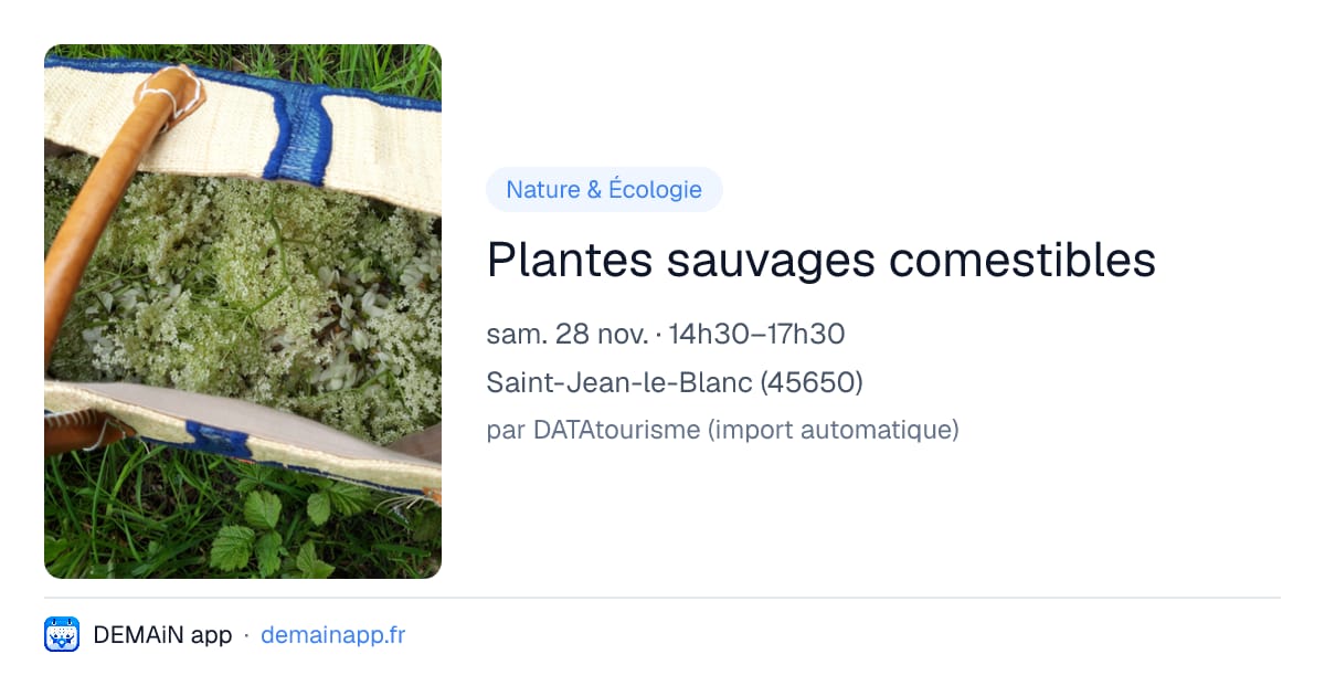 Plantes sauvages comestibles — Saint-Jean-le-Blanc