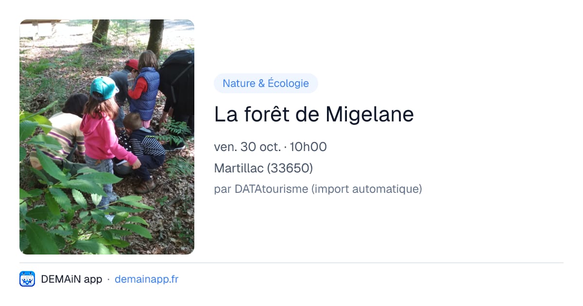 La forêt de Migelane — Martillac