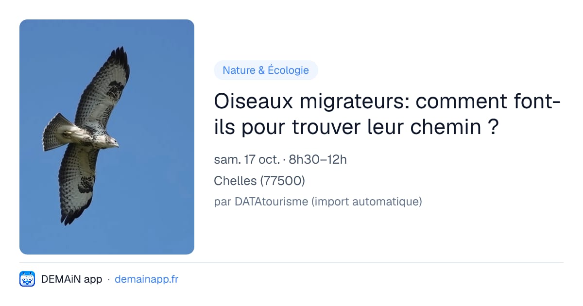 Oiseaux migrateurs: comment font-ils pour trouver leur chemin ? — Chelles