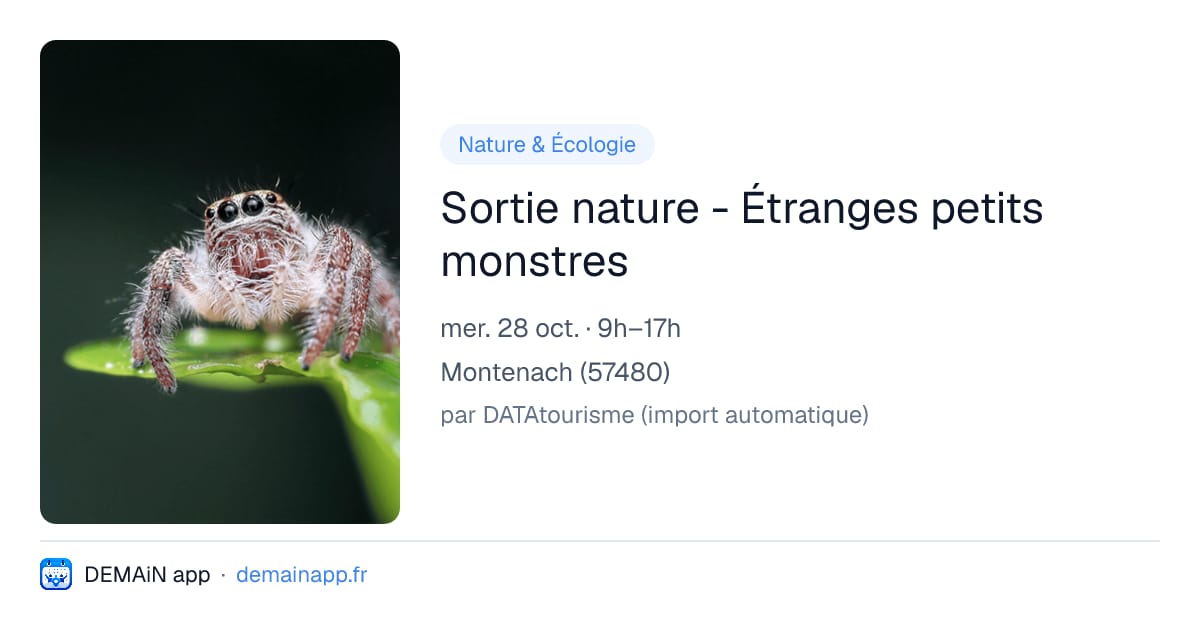 Sortie nature - Étranges petits monstres — Montenach
