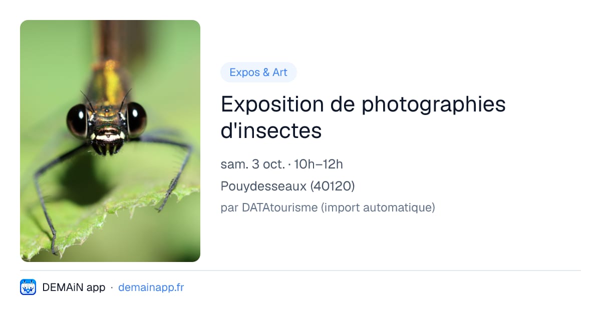 Exposition de photographies d'insectes — Pouydesseaux