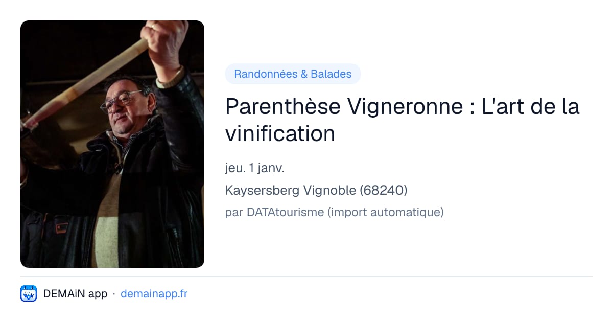 Parenthèse Vigneronne : L'art de la vinification — Kaysersberg Vignoble