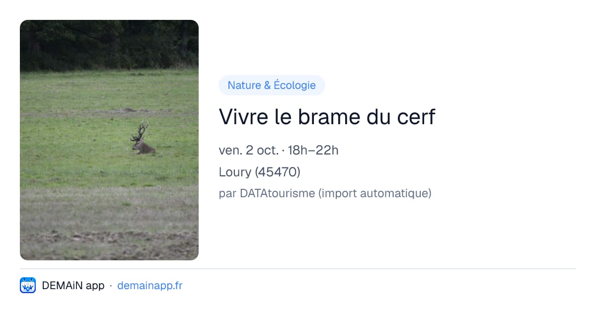 Vivre le brame du cerf — Loury
