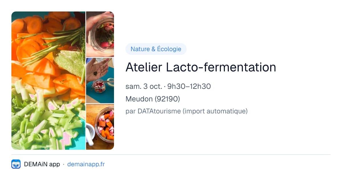 Atelier Lacto-fermentation — Meudon