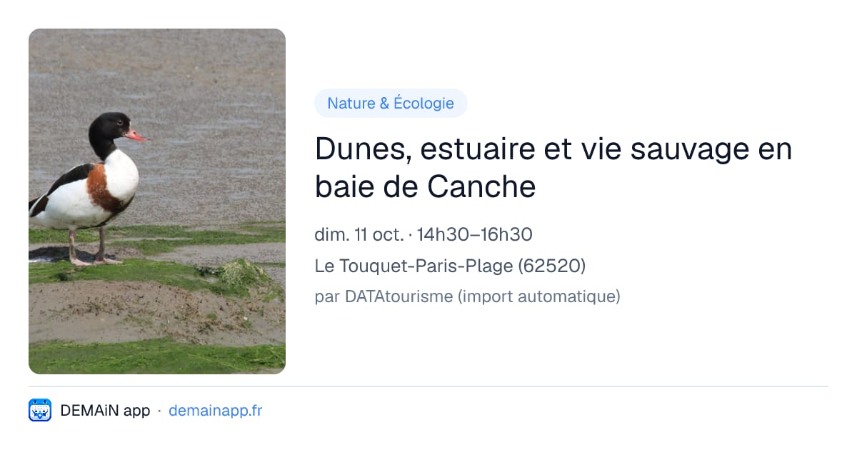 Dunes, estuaire et vie sauvage en baie de Canche — Le Touquet-Paris-Plage