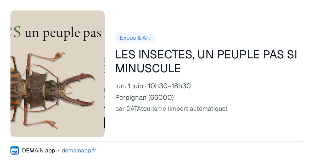 LES INSECTES, UN PEUPLE PAS SI MINUSCULE — Perpignan