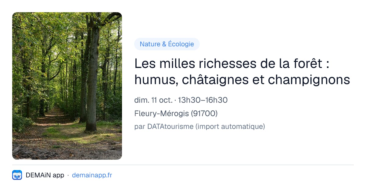 Les milles richesses de la forêt : humus, châtaignes et champignons — Fleury-Mérogis