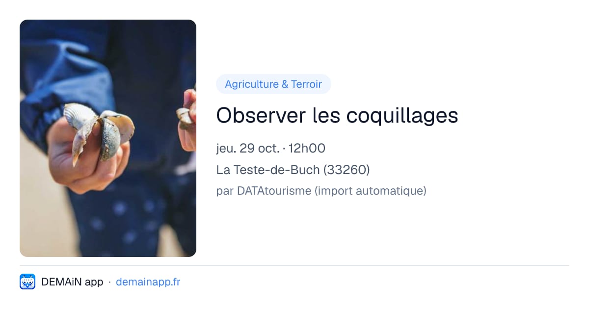 Observer les coquillages — La Teste-de-Buch
