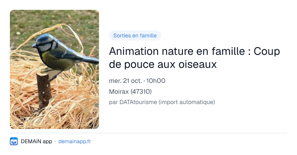 Animation nature en famille : Coup de pouce aux oiseaux — Moirax