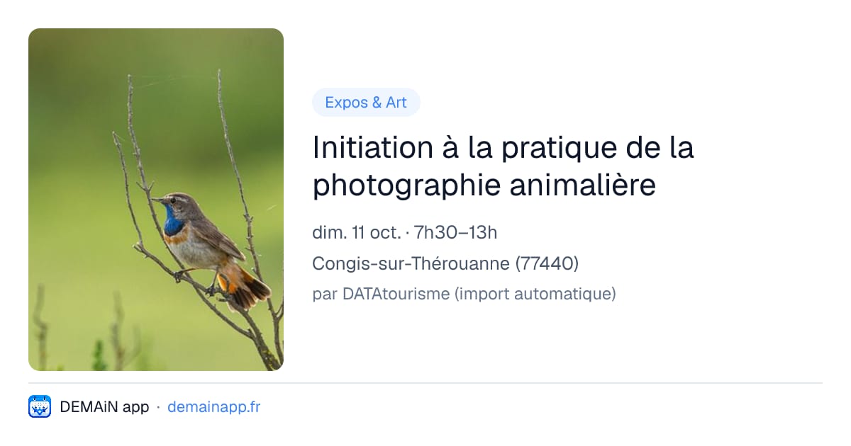Initiation à la pratique de la photographie animalière — Congis-sur-Thérouanne
