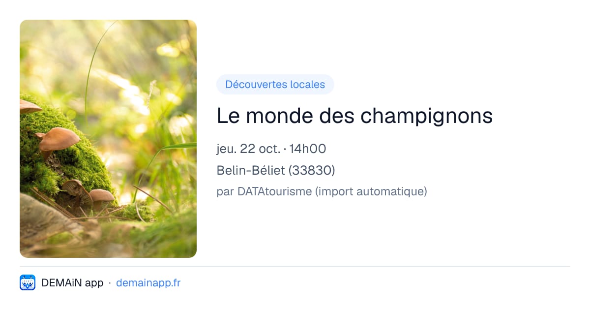 Le monde des champignons — Belin-Béliet
