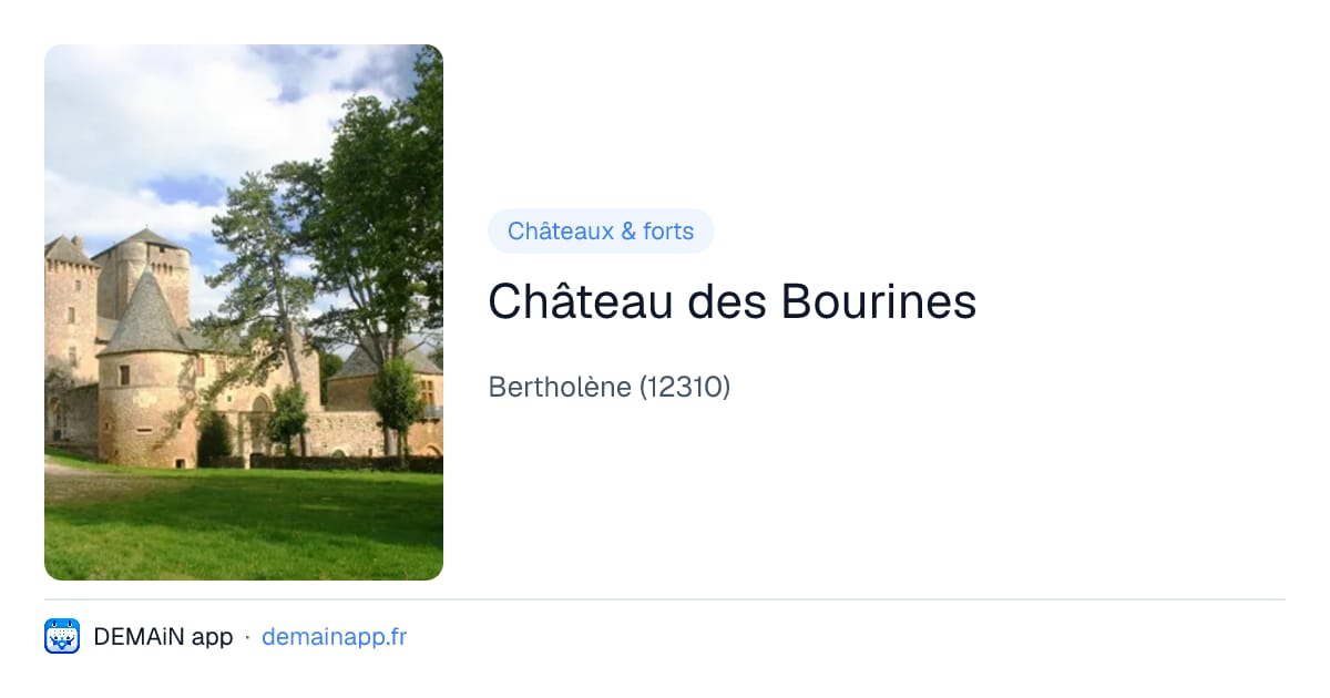 Château des Bourines — Bertholène