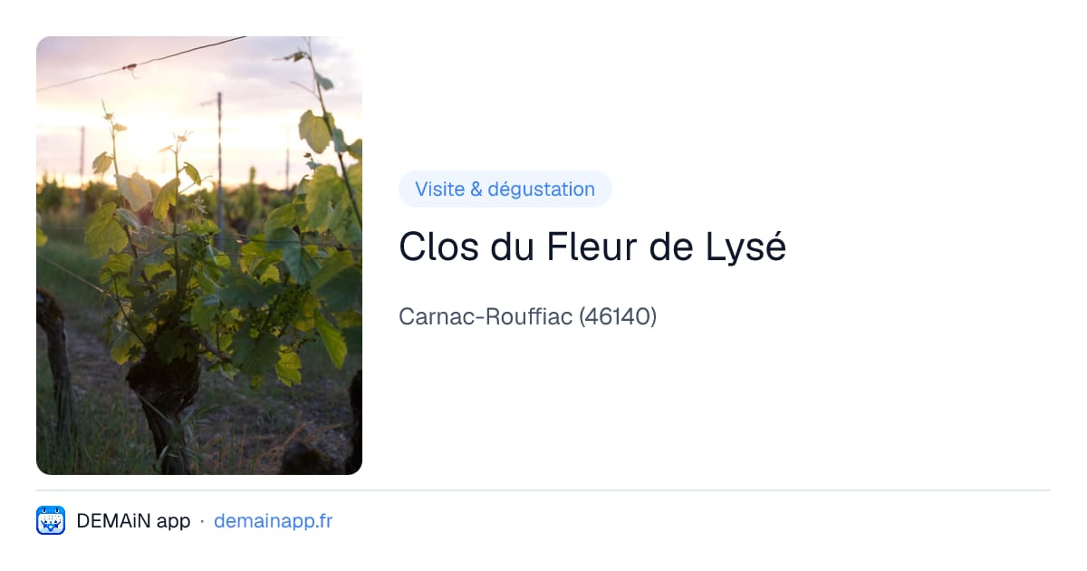 Clos du Fleur de Lysé — Carnac-Rouffiac
