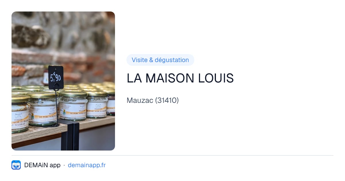 LA MAISON LOUIS — Mauzac