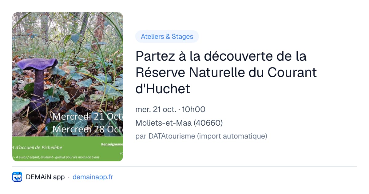 Partez à la découverte de la Réserve Naturelle du Courant d'Huchet — Moliets-et-Maa