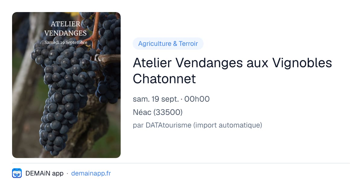 Atelier Vendanges aux Vignobles Chatonnet — Néac