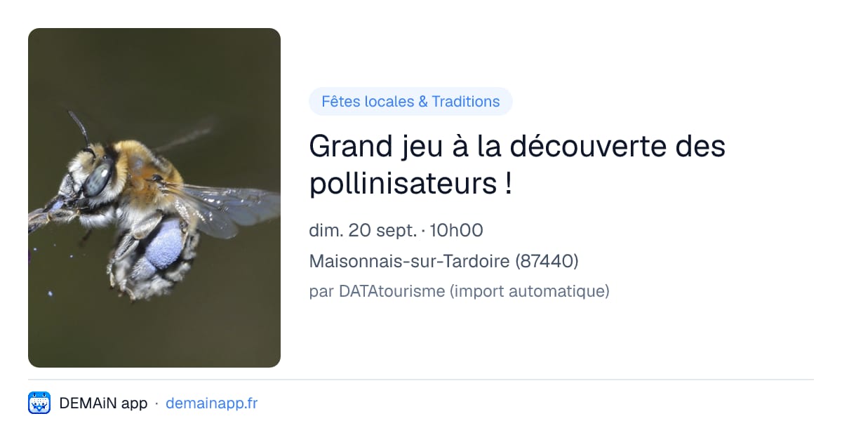 Grand jeu à la découverte des pollinisateurs ! — Maisonnais-sur-Tardoire