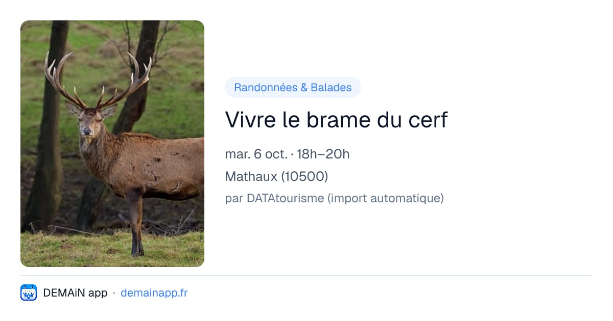 Vivre le brame du cerf — Mathaux