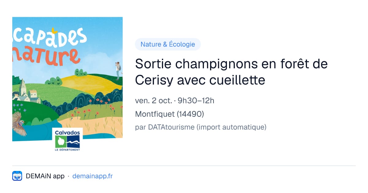 Sortie champignons en forêt de Cerisy avec cueillette — Montfiquet