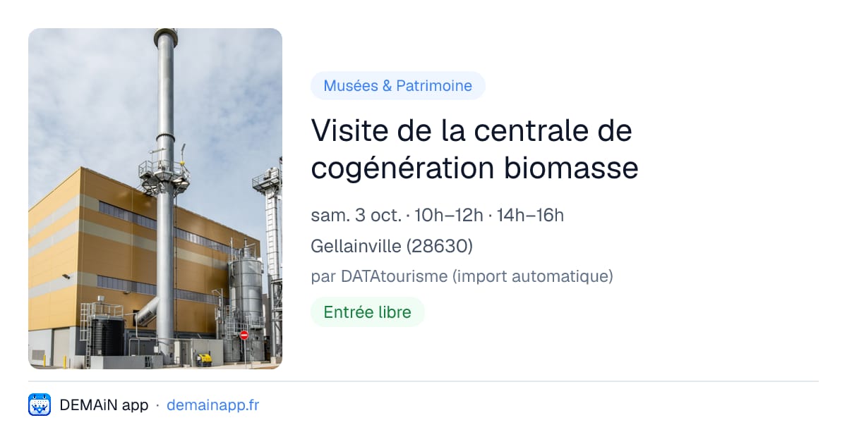 Visite de la centrale de cogénération biomasse — Gellainville