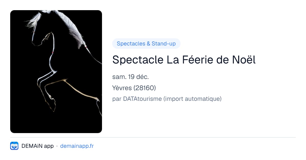 Spectacle La Féerie de Noël — Yèvres