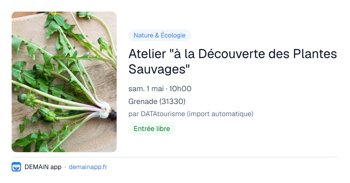 Atelier "à la Découverte des Plantes Sauvages" — Grenade