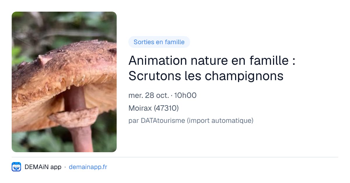 Animation nature en famille : Scrutons les champignons — Moirax
