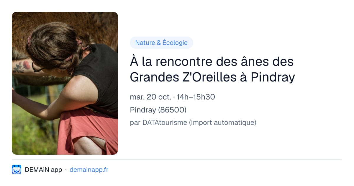 À la rencontre des ânes des Grandes Z'Oreilles à Pindray — Pindray
