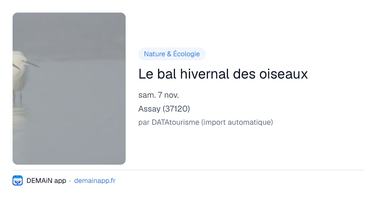Le bal hivernal des oiseaux — Assay