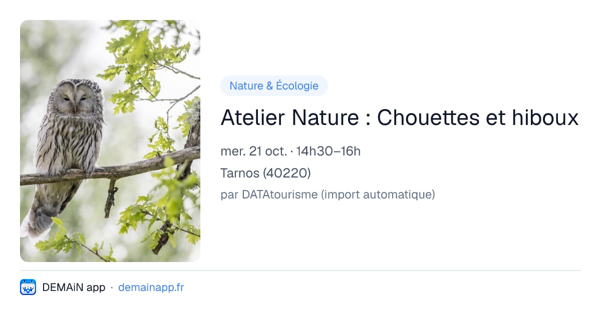 Atelier Nature : Chouettes et hiboux — Tarnos