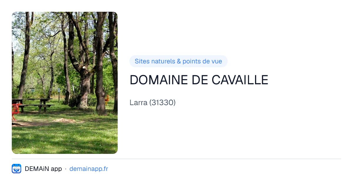 DOMAINE DE CAVAILLE — Larra