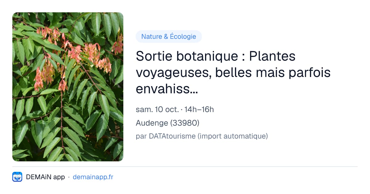 Sortie botanique : Plantes voyageuses, belles mais parfois envahissantes. — Audenge
