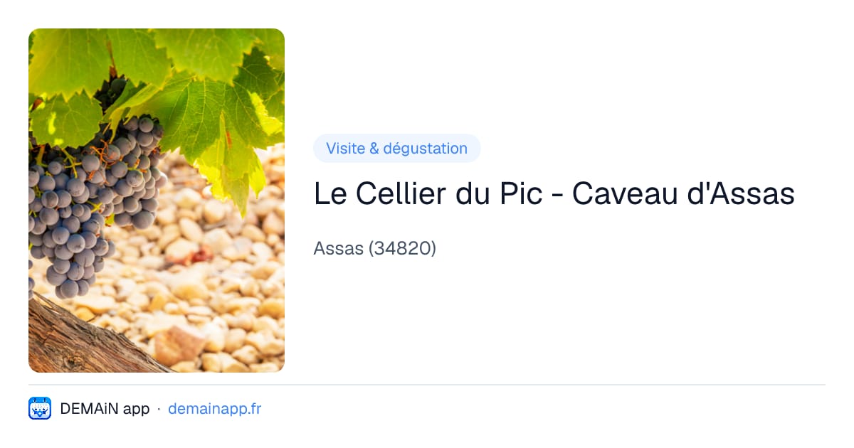 Le Cellier du Pic - Caveau d'Assas — Assas