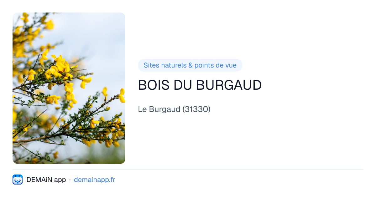 BOIS DU BURGAUD — Le Burgaud