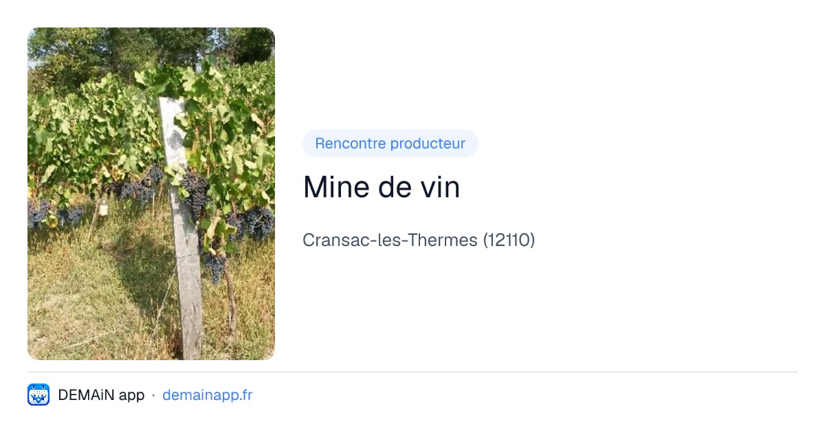 Mine de vin — Cransac-les-Thermes