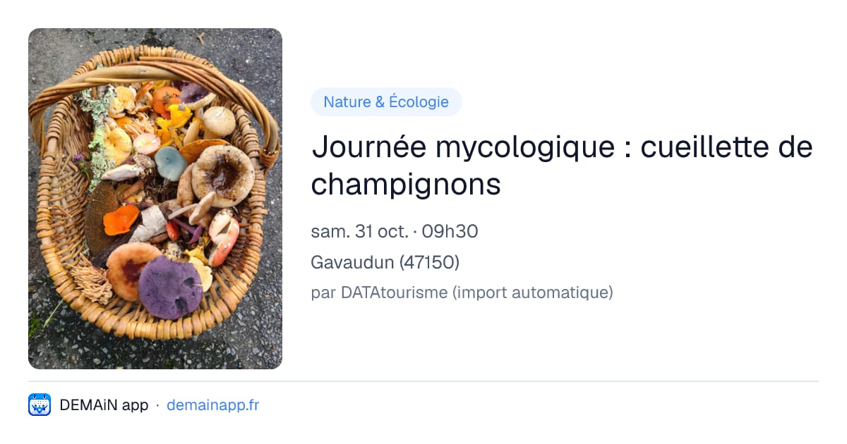 Journée mycologique : cueillette de champignons — Gavaudun