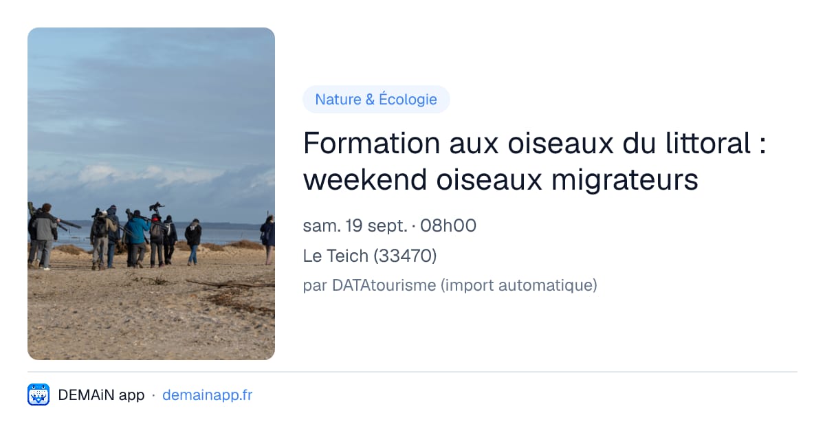 Formation aux oiseaux du littoral : weekend oiseaux migrateurs — Le Teich