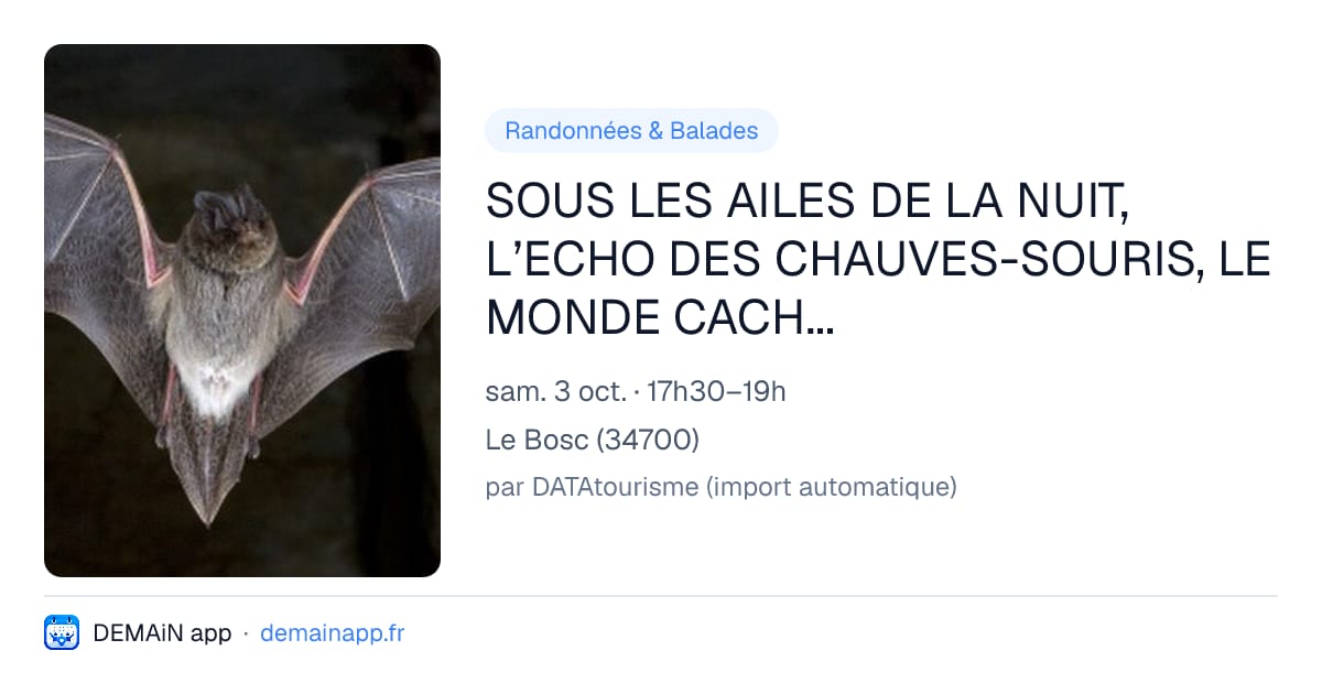 SOUS LES AILES DE LA NUIT, L’ECHO DES CHAUVES-SOURIS, LE MONDE CACHÉ DES CHAUVES-SOURIS — Le Bosc