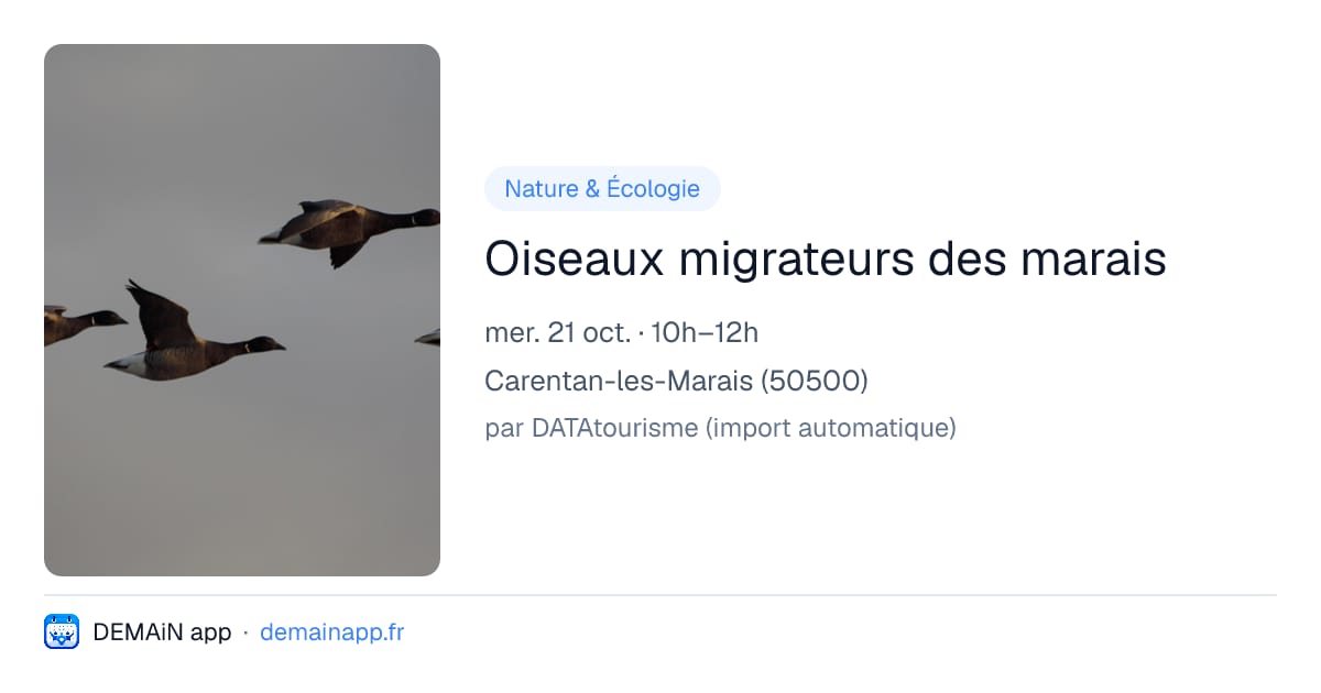 Oiseaux migrateurs des marais — Carentan-les-Marais
