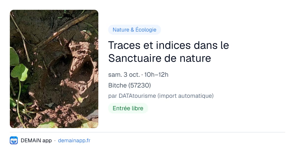 Traces et indices dans le Sanctuaire de nature — Bitche
