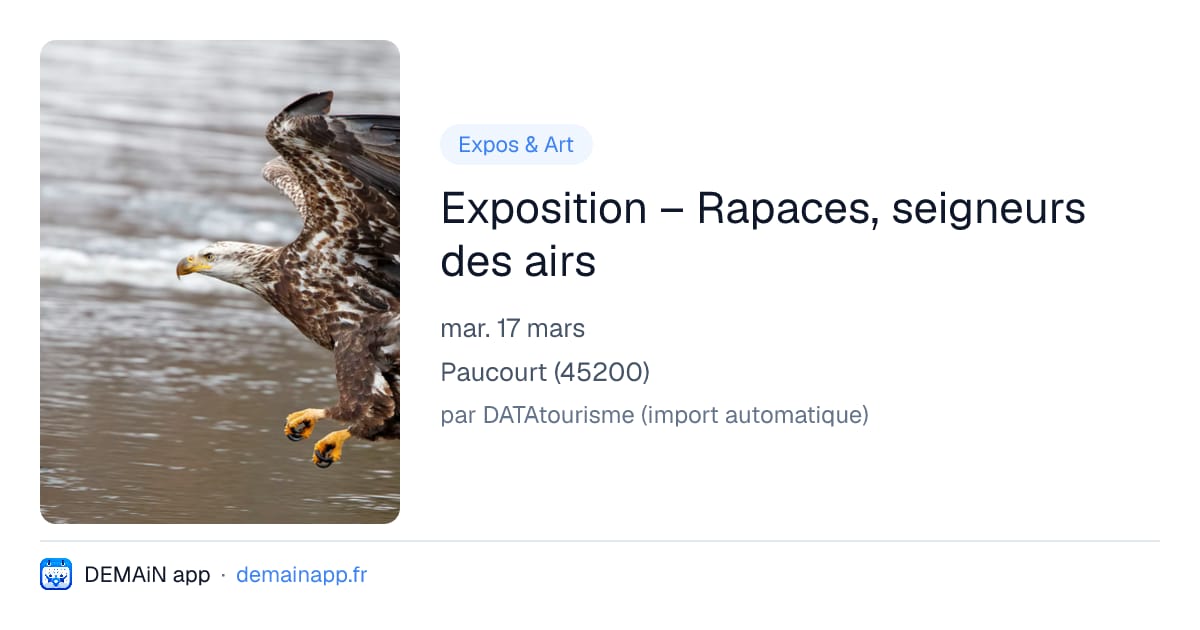 Exposition – Rapaces, seigneurs des airs — Paucourt