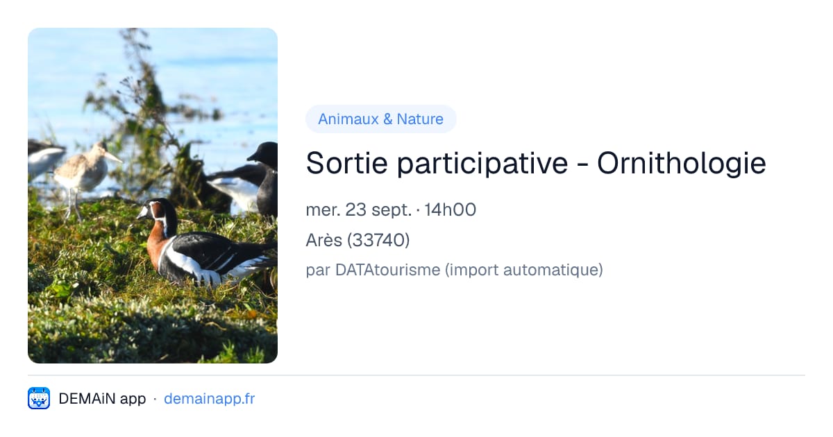 Sortie participative - Ornithologie — Arès