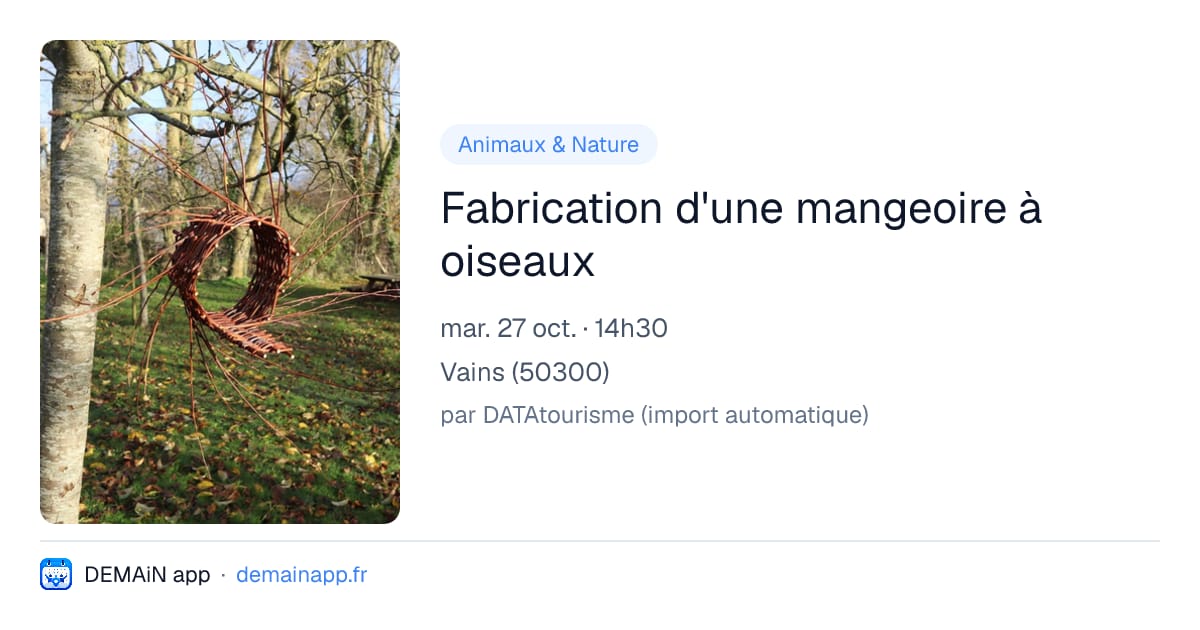 Fabrication d'une mangeoire à oiseaux — Vains