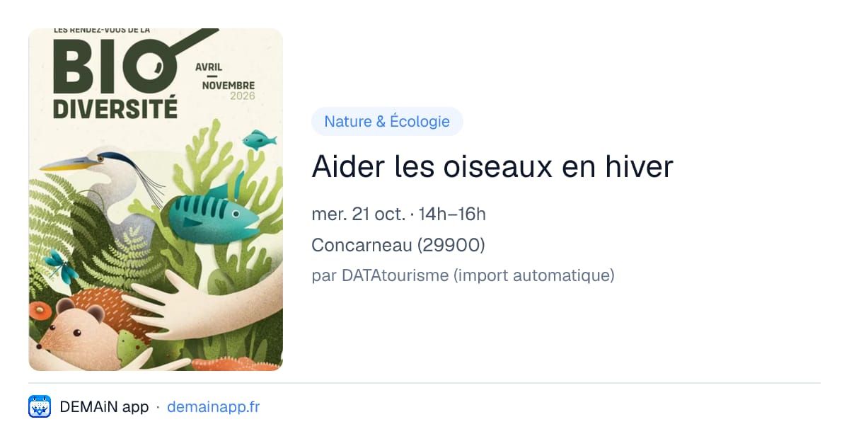 Aider les oiseaux en hiver — Concarneau
